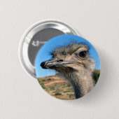 Badge Rond 5 Cm Harry the Happy Ostrich (Devant & derrière)