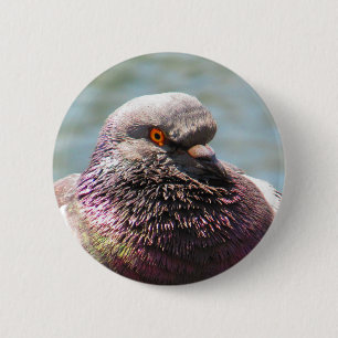 Badge Rond 5 Cm Haut étroit de pigeon