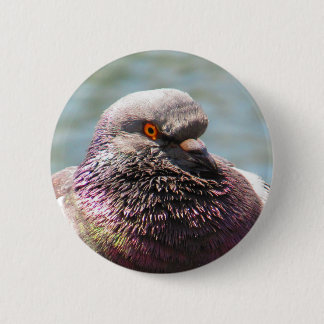Badge Rond 5 Cm Haut étroit de pigeon