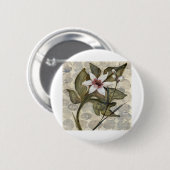 Badge Rond 5 Cm HAZ26 Amazonie 4.tif (Devant & derrière)