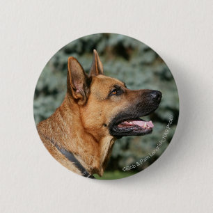 Badge Rond 5 Cm Headshot 1 de berger allemand