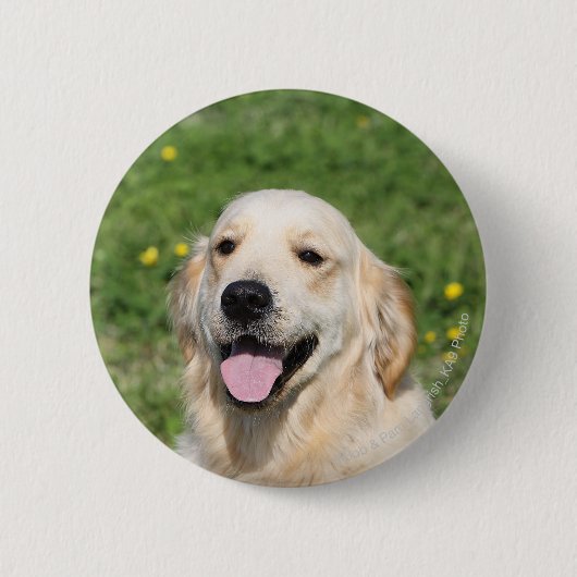 Badge Rond 5 Cm Headshot 1 de golden retriever (Devant)