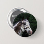 Badge Rond 5 Cm Headshot 2 de cheval d'Appaloosa (Devant & derrière)