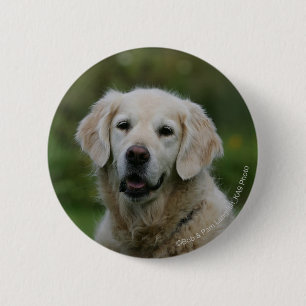 Badge Rond 5 Cm Headshot 2 de golden retriever