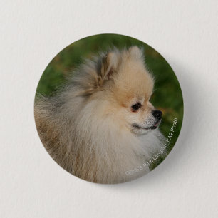Badge Rond 5 Cm Headshot 2 de Pomeranian