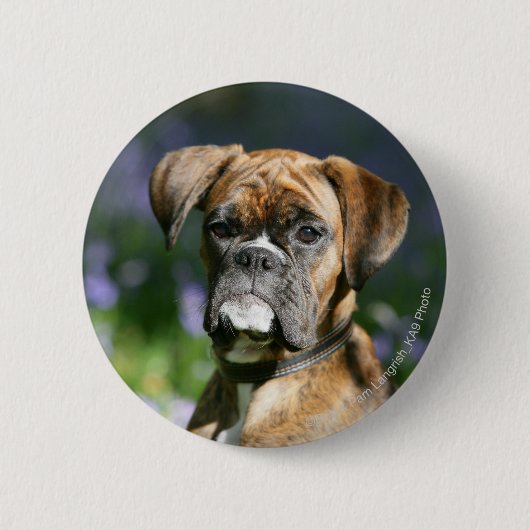 Badge Rond 5 Cm Headshot de chien de boxeur (Devant)