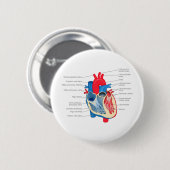 Badge Rond 5 Cm Heart_Anatomy (Devant & derrière)