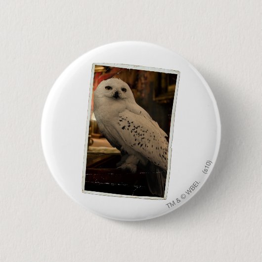 Badge Rond 5 Cm Hedwig 3 (Devant)
