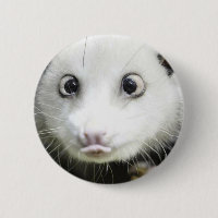 Heidi L'Opossum Osé À Croix