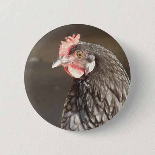 Badge Rond 5 Cm Hen bleu (Devant)