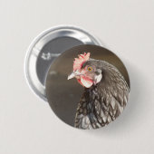 Badge Rond 5 Cm Hen bleu (Devant & derrière)