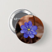 Badge Rond 5 Cm Hepatica commun (nobilis de Hepatica) (Devant & derrière)