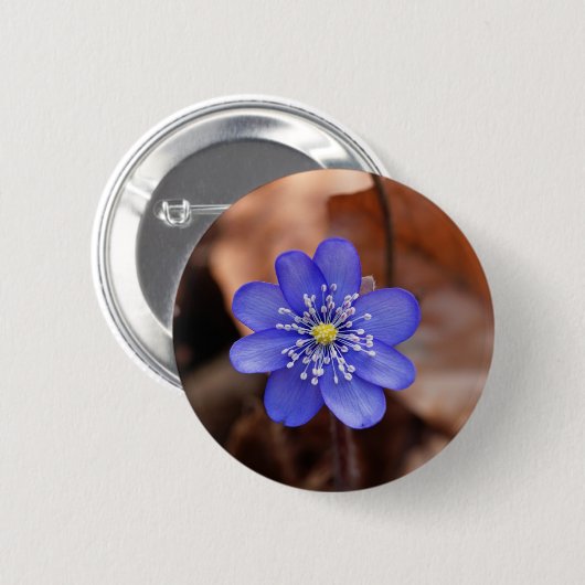 Badge Rond 5 Cm Hepatica commun (nobilis de Hepatica) (Devant & derrière)
