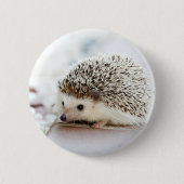 Badge Rond 5 Cm Hérisson mignon de bébé (Devant)