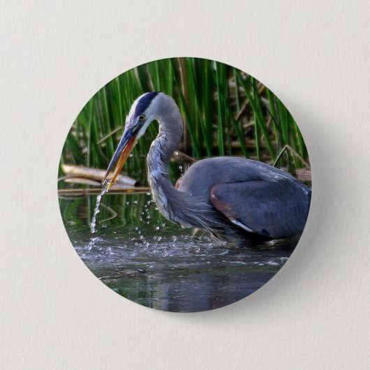 Badge Rond 5 Cm Heron Splash (Devant)