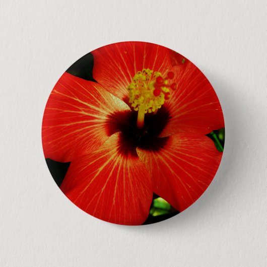 Badge Rond 5 Cm Hibiscus rouge (Devant)
