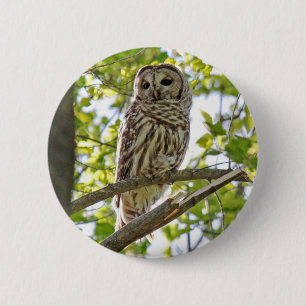 Badge Rond 5 Cm Hibou barré