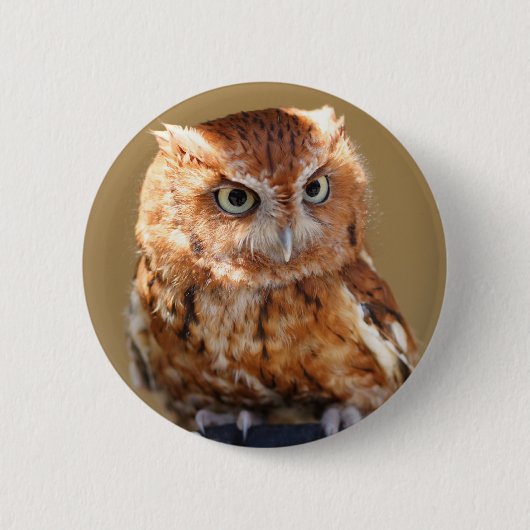 Badge Rond 5 Cm Hibou Brown (Devant)