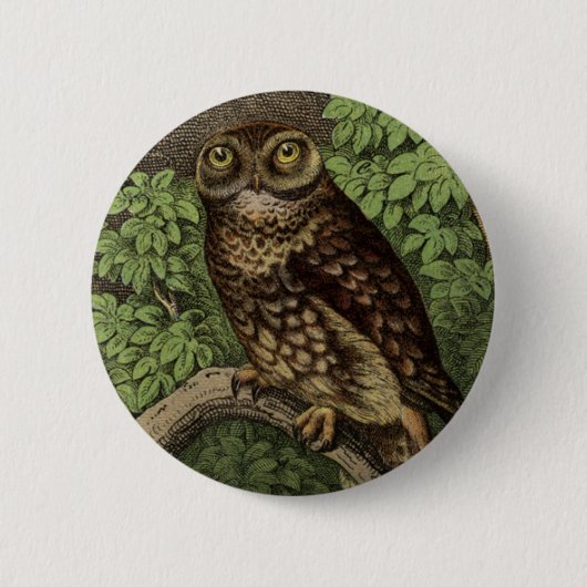 Badge Rond 5 Cm Hibou dans le bouton de feuille (Devant)