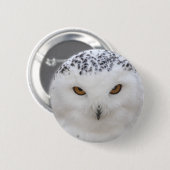 Badge Rond 5 Cm Hibou de Milou (Devant & derrière)
