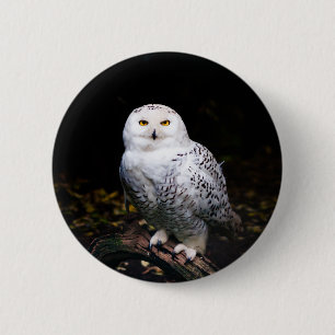Badge Rond 5 Cm Hibou des neiges majestueux d'hiver