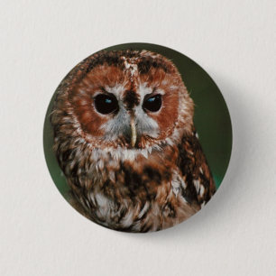 Badge Rond 5 Cm Hibou fauve de bébé
