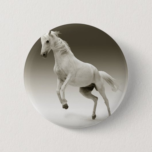 Badge Rond 5 Cm hippocampe (Devant)