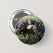 Badge Rond 5 Cm Hippopotame (Devant & derrière)