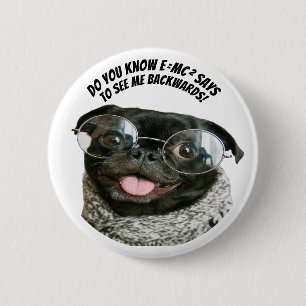 Badge Rond 5 Cm Histoires drôles de Pug chinois Théorie aiguë
