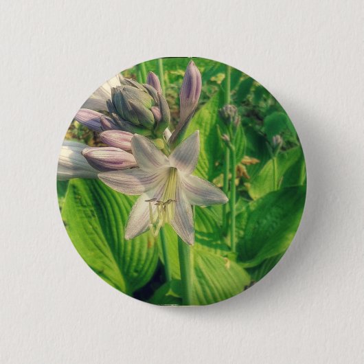 Badge Rond 5 Cm Hosta (Devant)