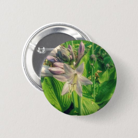 Badge Rond 5 Cm Hosta (Devant & derrière)