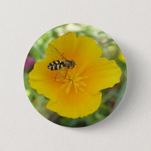 Badge Rond 5 Cm Hoverfly et California Poppy Button (Devant)