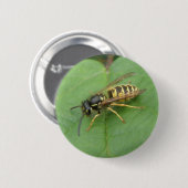 Badge Rond 5 Cm Hoverfly sur un bouton feuille (Devant & derrière)