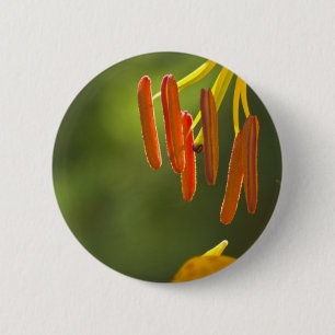 Badge Rond 5 Cm Humboldt Lily Stamens