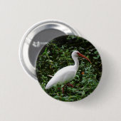 Badge Rond 5 Cm IBIS blanc… (Devant & derrière)