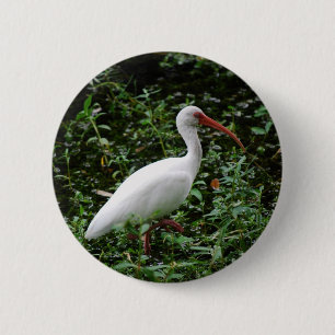 Badge Rond 5 Cm IBIS blanc…