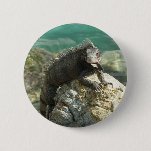 Badge Rond 5 Cm Iguana sur les rochers à St. Thomas