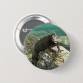 Badge Rond 5 Cm Iguana sur les rochers à St. Thomas (Devant & derrière)
