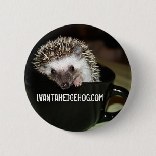 Badge Rond 5 Cm Il y a un hérisson en mon café
