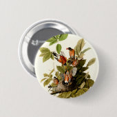 Badge Rond 5 Cm Illustration Audubon American Robin Wildlife Bird (Devant & derrière)