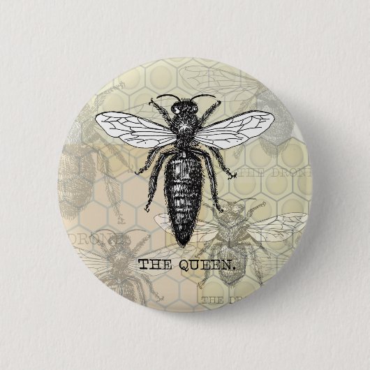 Badge Rond 5 Cm Illustration d'antiquité de l'insecte de la reine  (Devant)