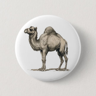 Badge Rond 5 Cm Illustration de chameau réaliste vintage - Chameau