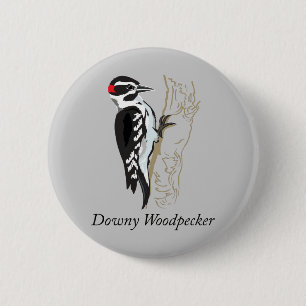 Badge Rond 5 Cm Illustration de Downy Woodpecker