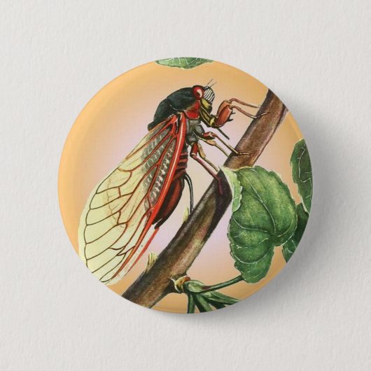 Badge Rond 5 Cm Illustration des insectes du Canada (Devant)