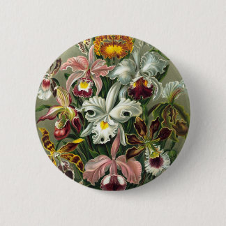 Badge Rond 5 Cm Illustration vintage d'orchidées
