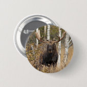 Badge Rond 5 Cm Impressionnant orignal (Devant & derrière)