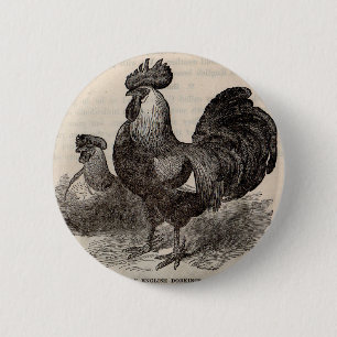 Badge Rond 5 Cm imprimé du 19e siècle gris anglais dorkings poulet