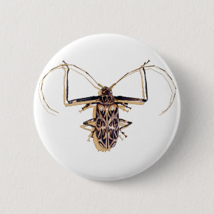 Badge Rond 5 Cm Insecte d'aquarelle d'insecte "de scarabée de