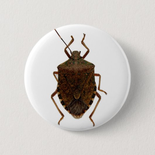 Badge Rond 5 Cm Insecte de puanteur (Devant)