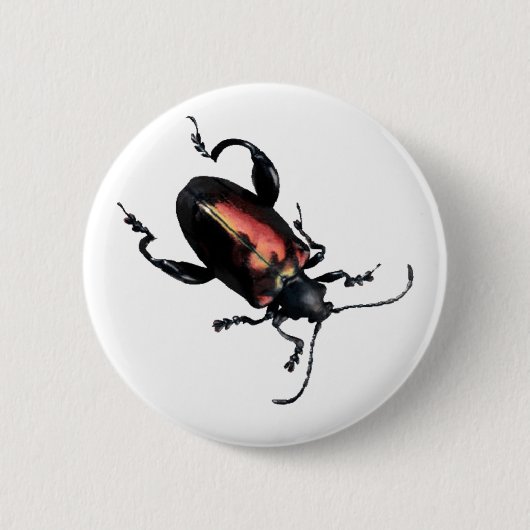 Badge Rond 5 Cm Insecte noir et rouge de scarabée (Devant)